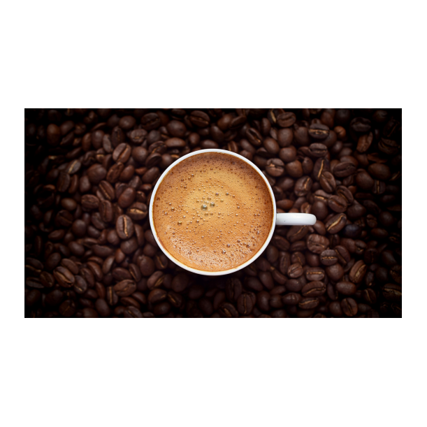 Blutron Action Coffee Water Filter